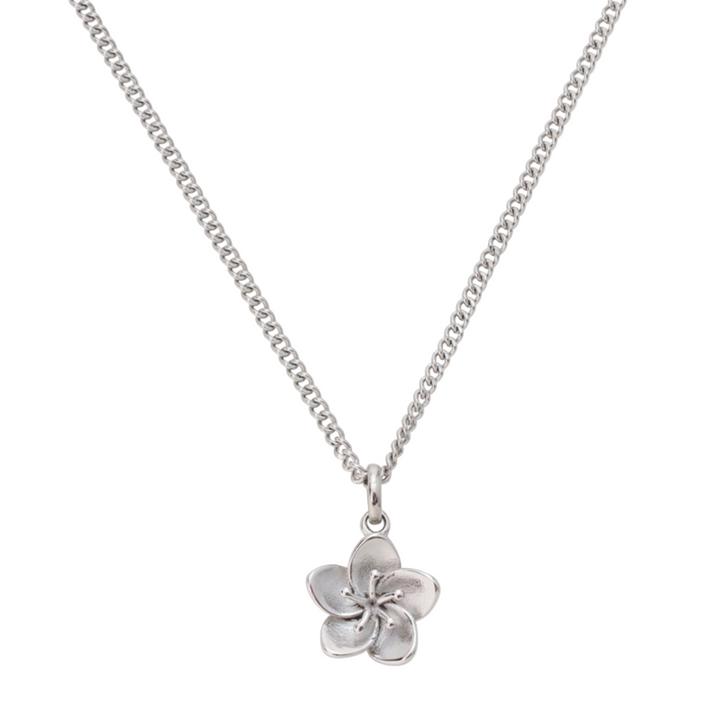 Iviskos Necklace