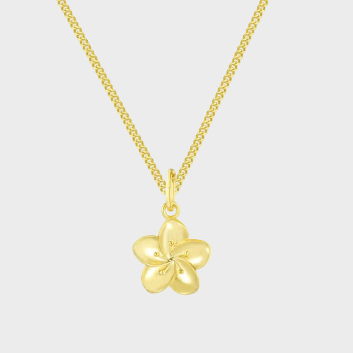 Iviskos Necklace