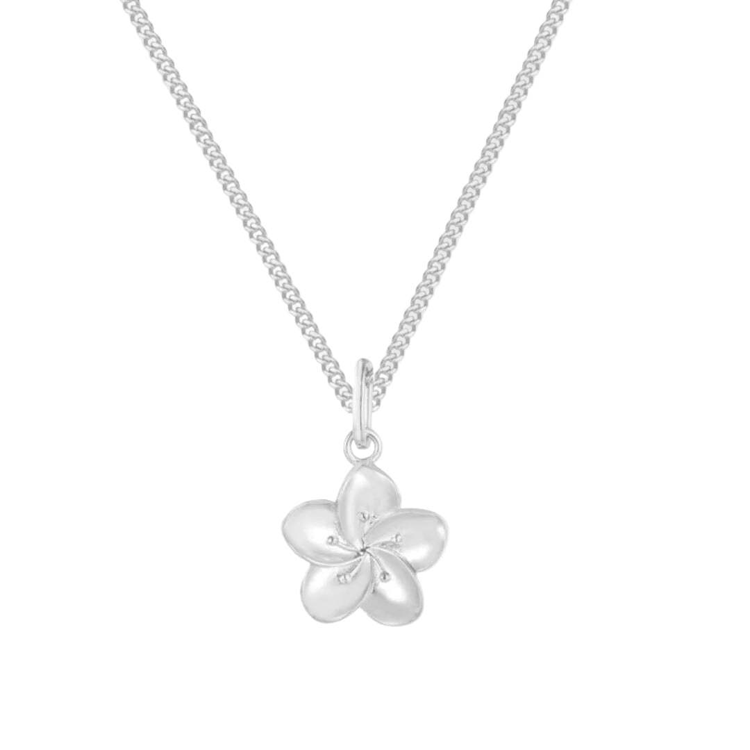 Iviskos Necklace