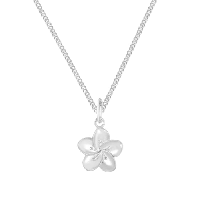 Iviskos Necklace
