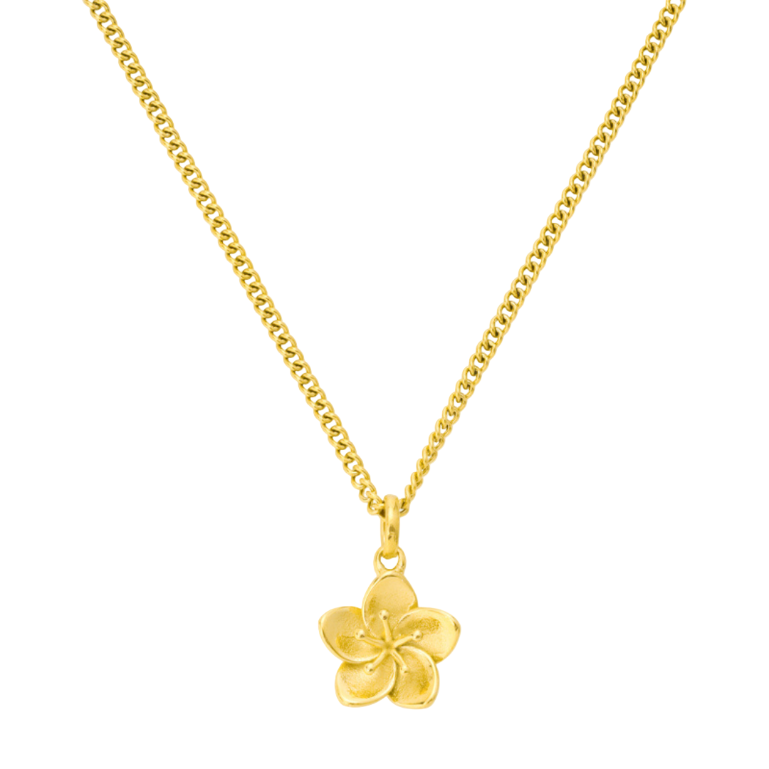 Iviskos Necklace