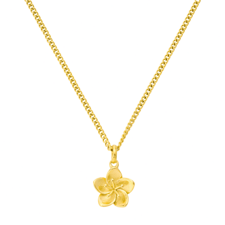Iviskos Necklace