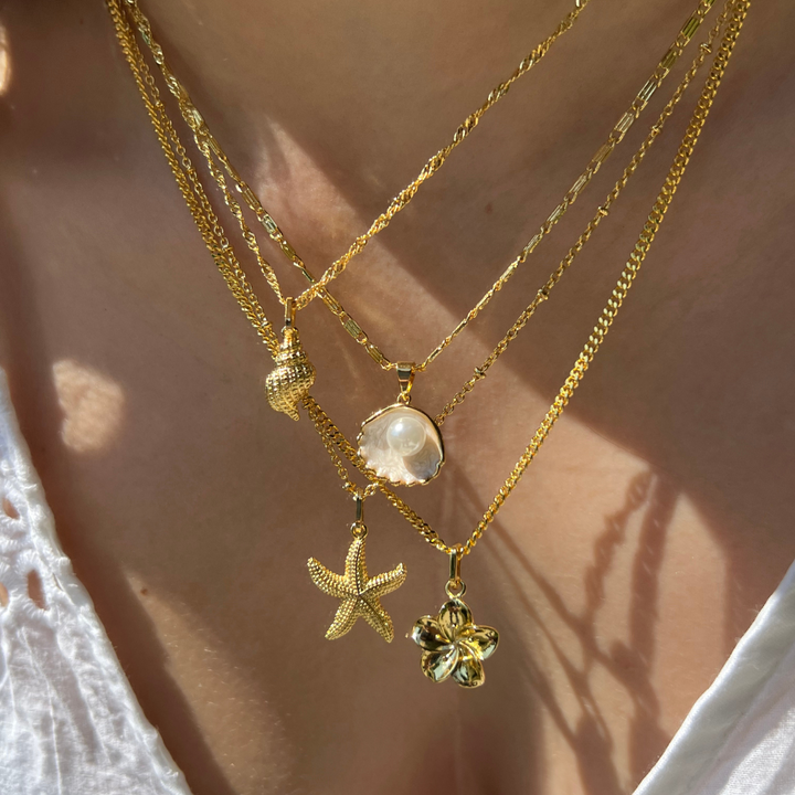 Necklace with Seashell